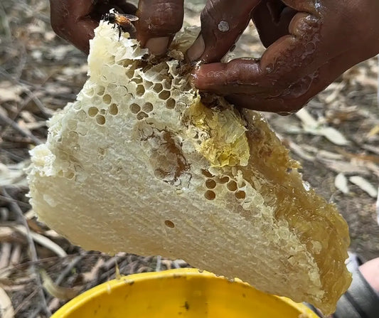 How to Check if Honey is Pure at Home (Pakistan Guide)